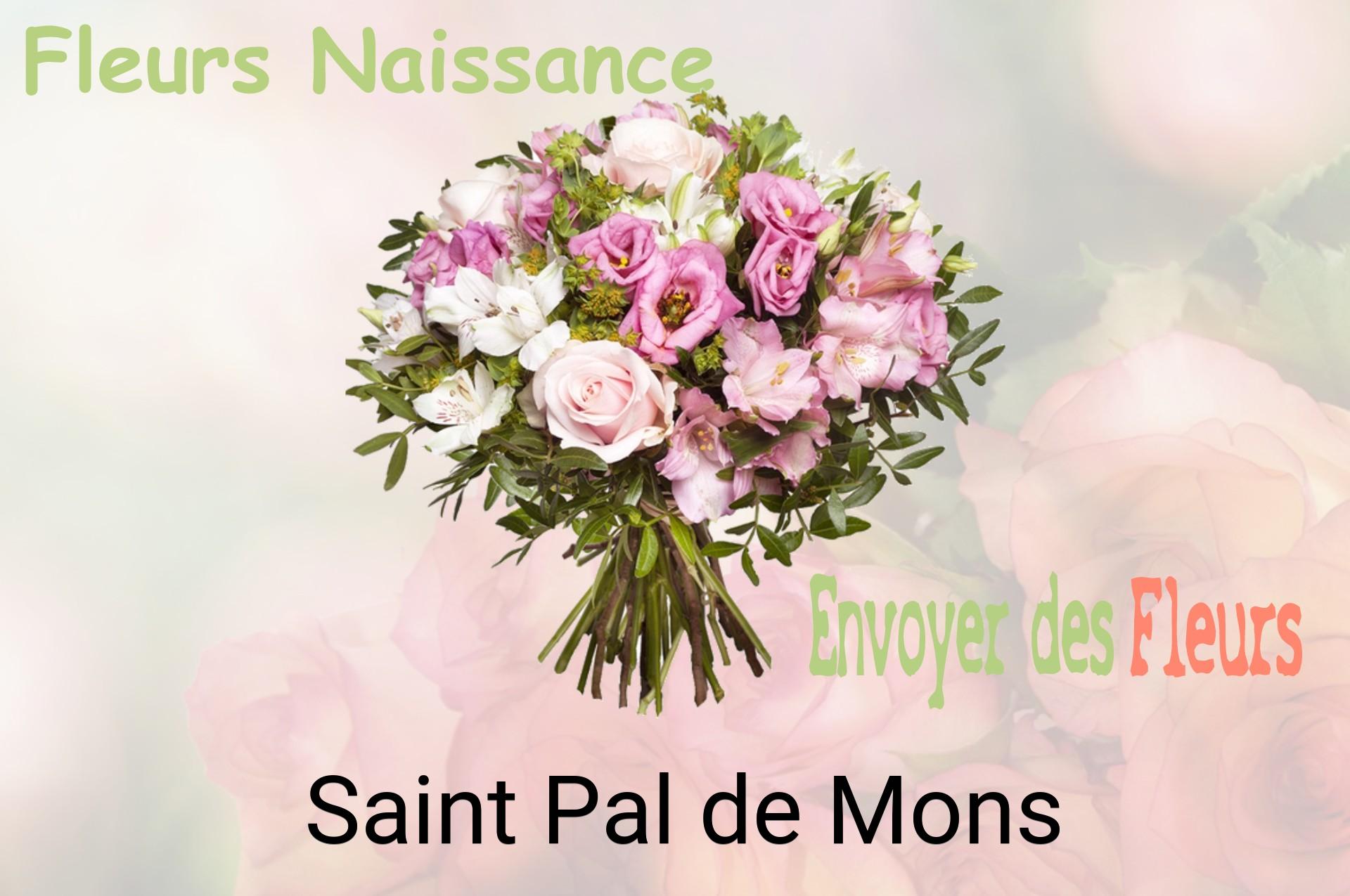 Bouquet de fleurs de naissance livré à Saint-Pal-de-Mons